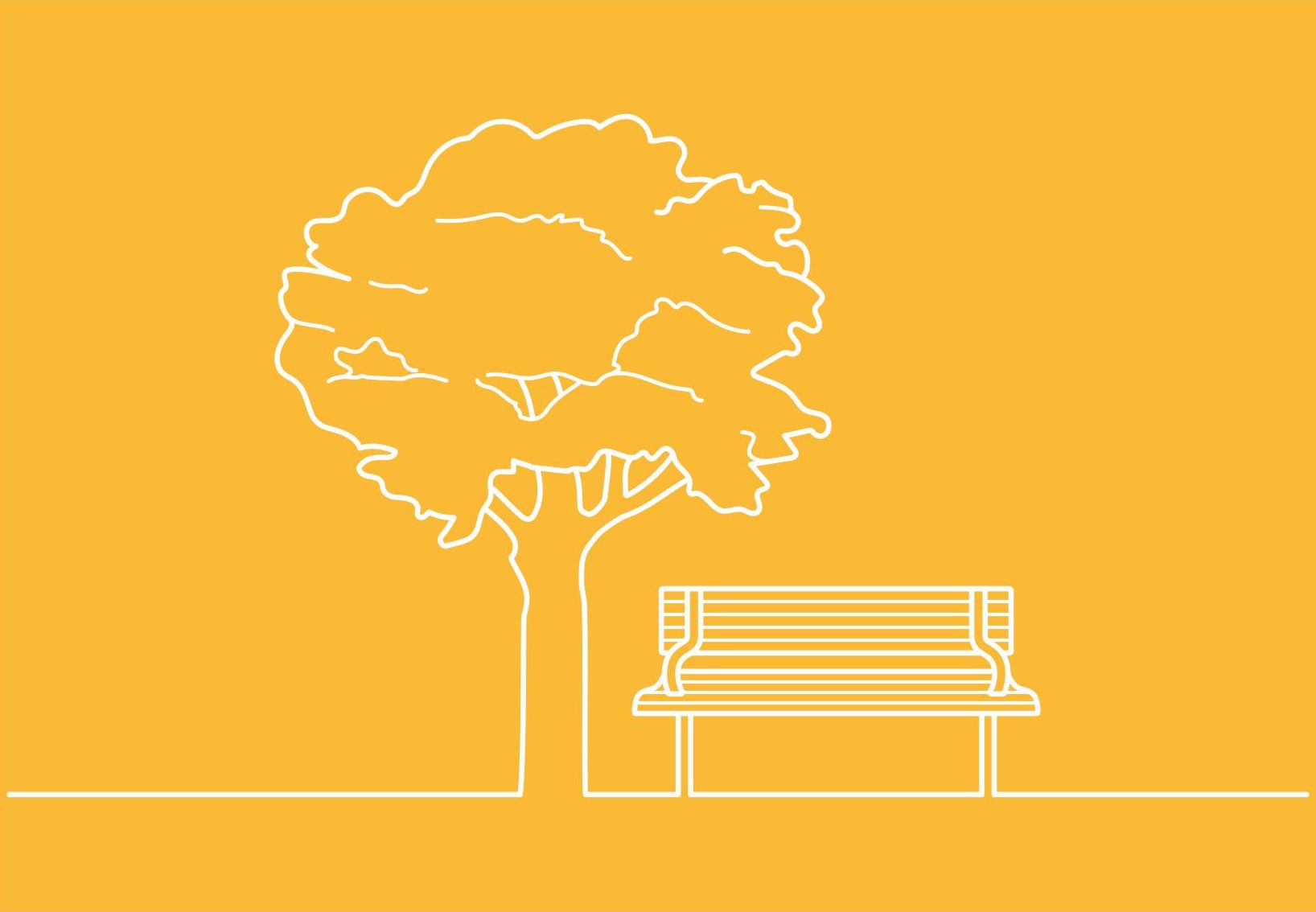 image of a tree and a bench